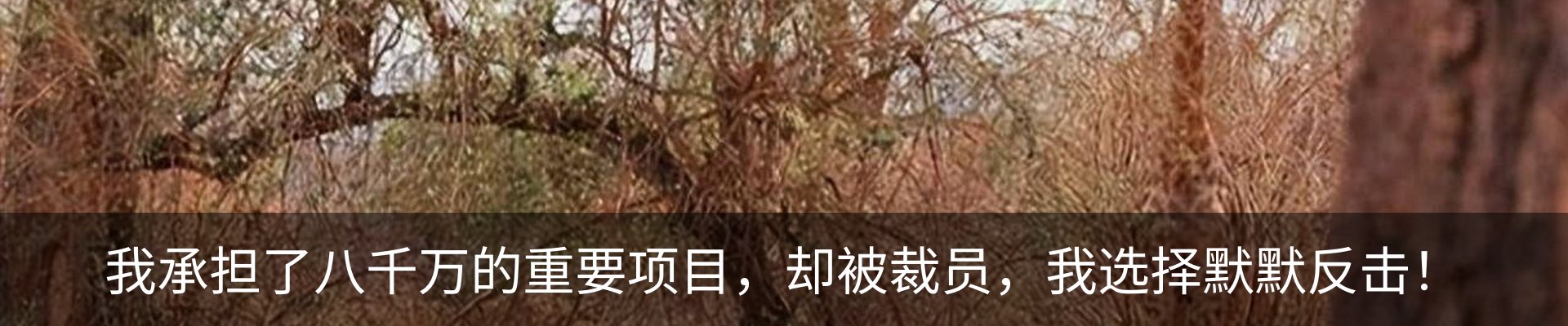 内页banner